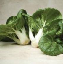 Pak Choi Baby - Aimer's Organic Seeds