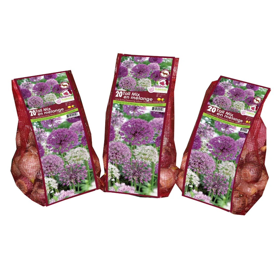 Allium - Tall Mix - Mesh Bag, 20 Pack - Image 4