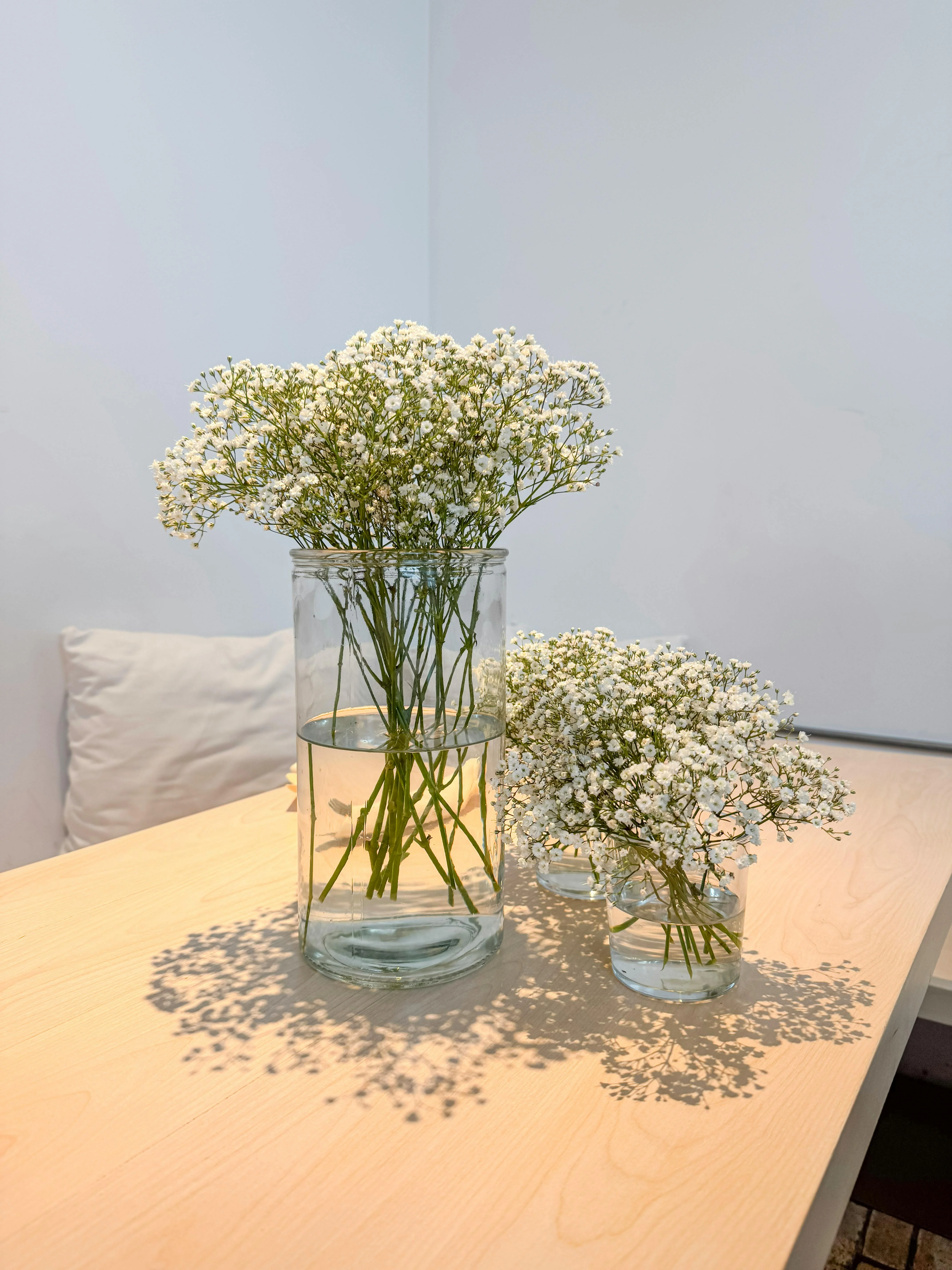 Baby's Breath - Festival White, 1 Pack - Image 3