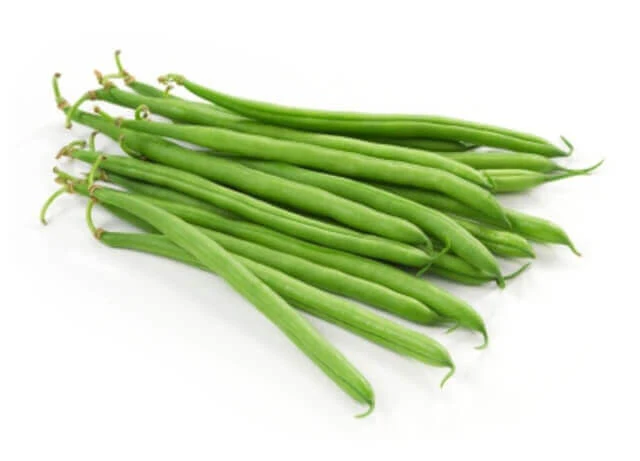 Bean Blue Lake Bush Large - Ontario Seed Company