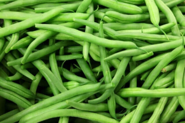 Beans Kentucky Wonder Green Jumbo - Ontario Seed Company - Image 3