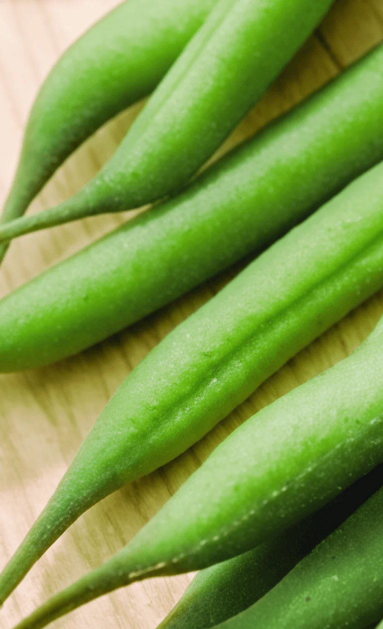 Beans Stringless Green Pod Large - Ontario Seed Company
