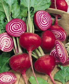 Beet Chioggia - Ontario Seed Company