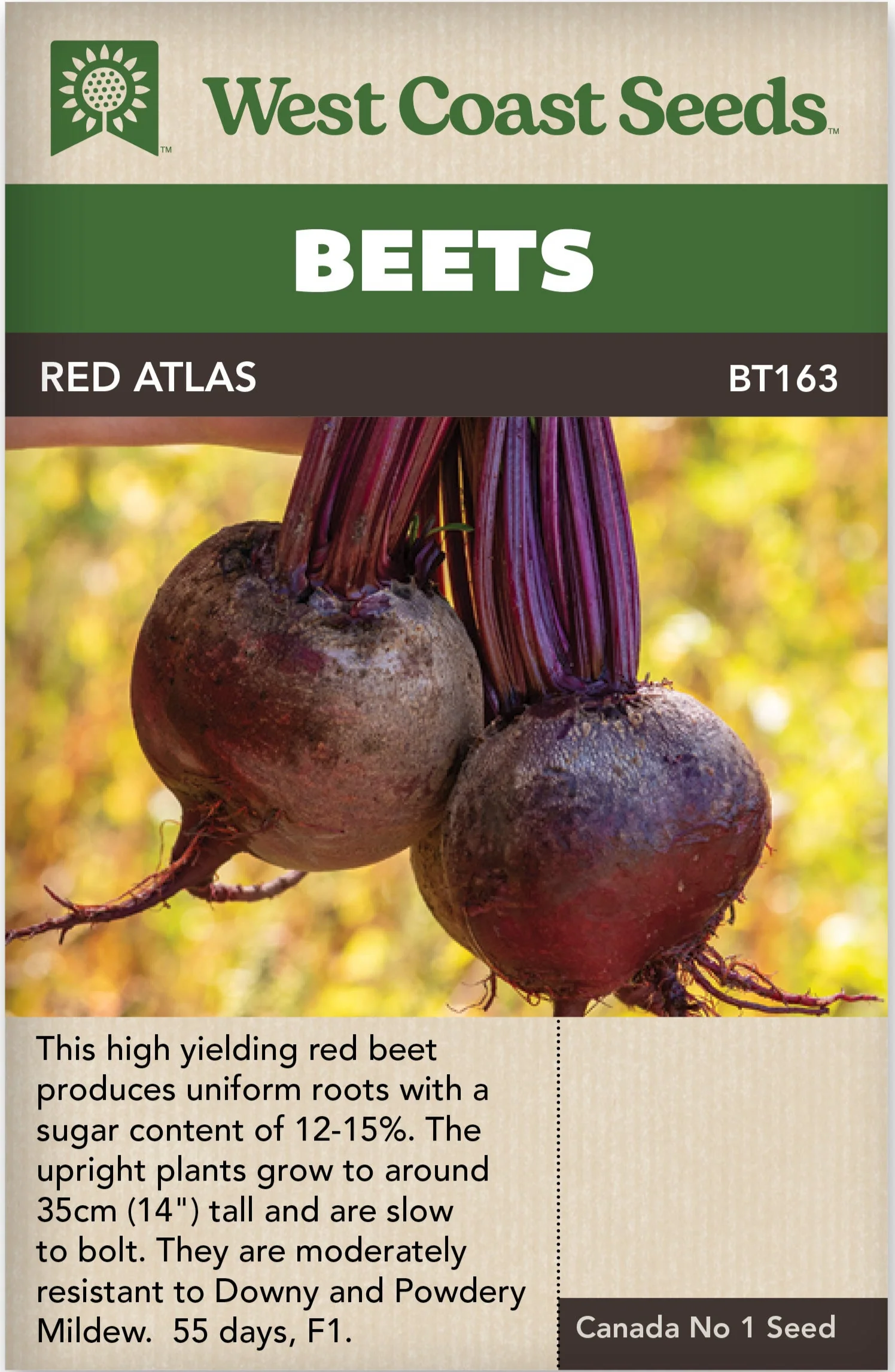 Beet Red Atlas - West Coast Seeds
