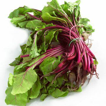 Beet Lutz Green Leaf - Ontario Seed Company