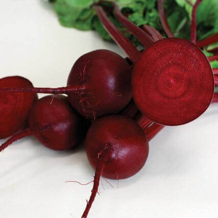 Beet Robin Hybrid Baby Beet International - Aimers Seeds - Image 2