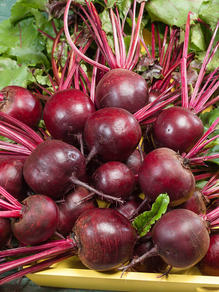 Beets Detroit Dark Red Large - Ontario Seed Company