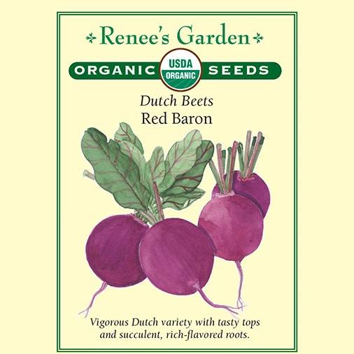 Organic Beet Red Baron - Renee's Garden