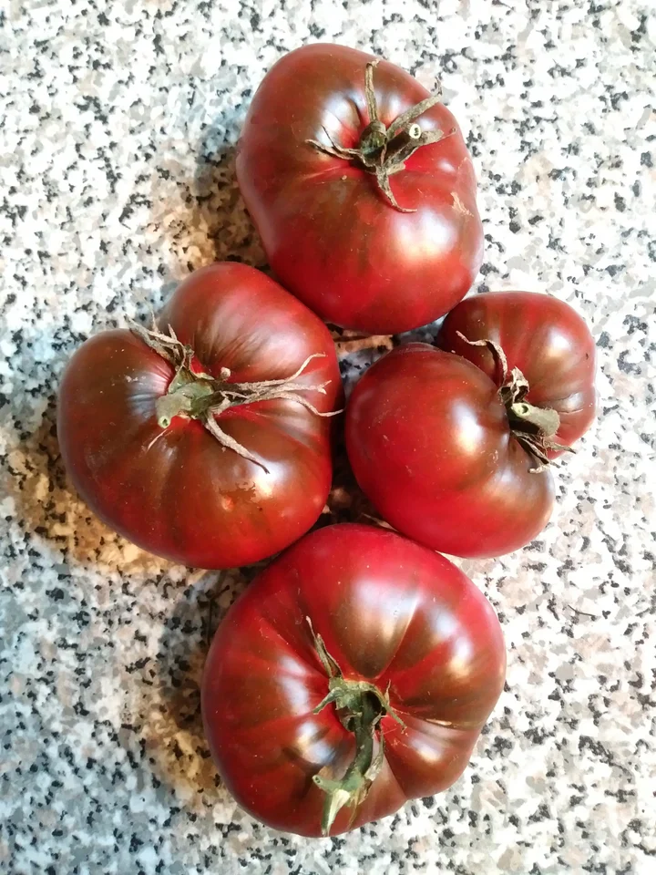 Black Altai Tomato - Eagleridge seeds