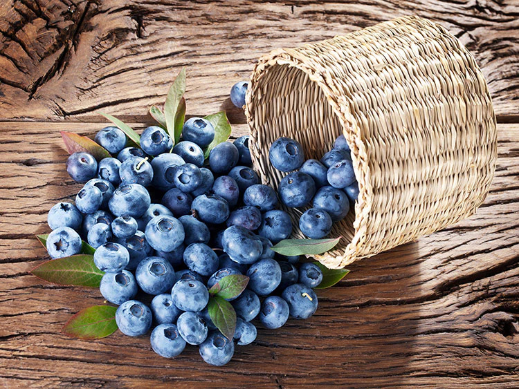 Blueberry - Chippewa - Image 2