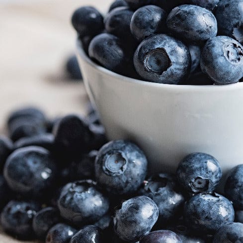 Blueberry - Duke - Image 2