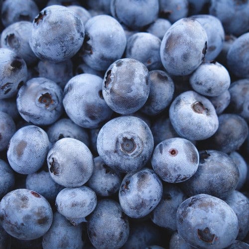 Blueberry - Native, Wild Angustifolium