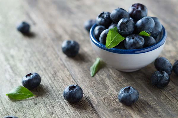 Blueberry - Northcountry - Image 2