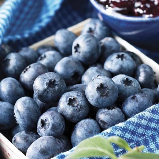 Blueberry - Northland - Image 2