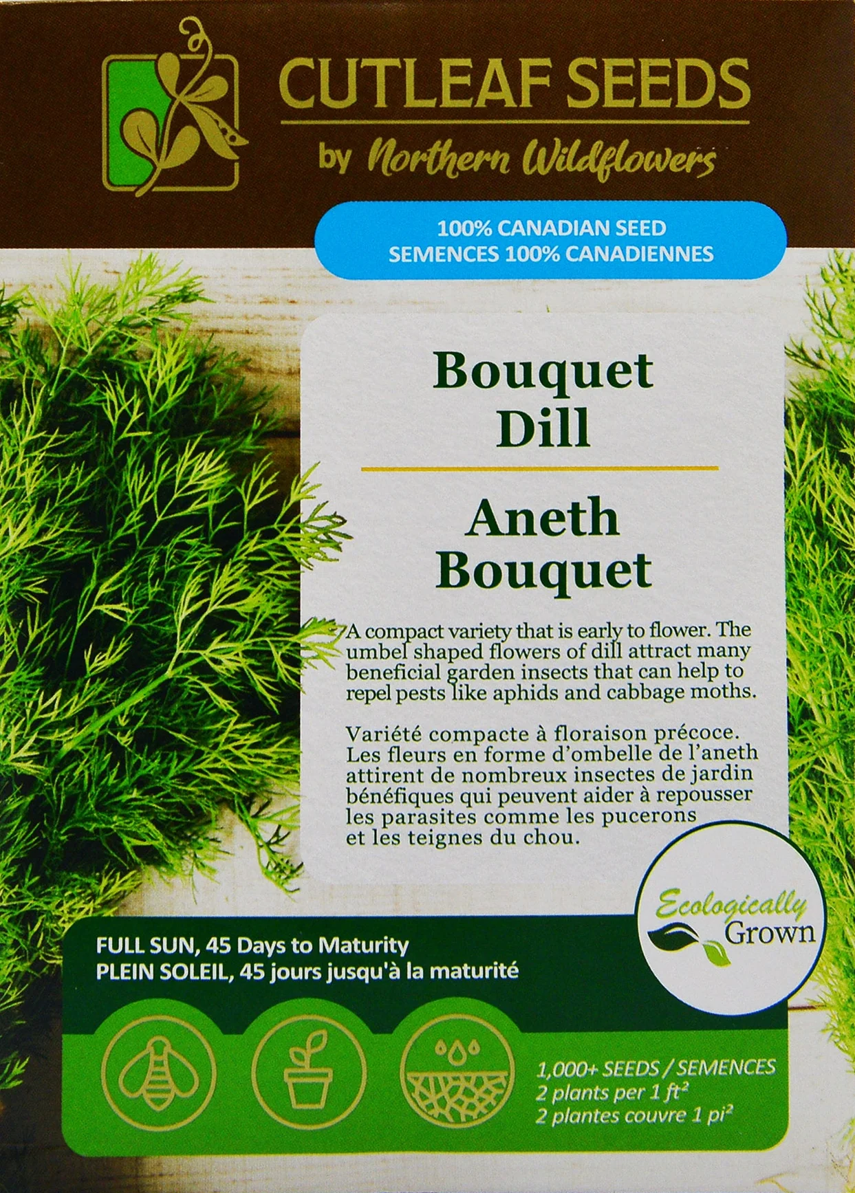 Dill Bouquet - Northern Wildflowers