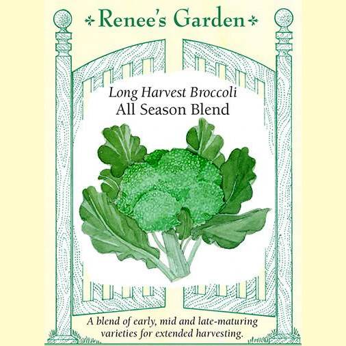 Broccoli All Season Blend - Renee's Garden
