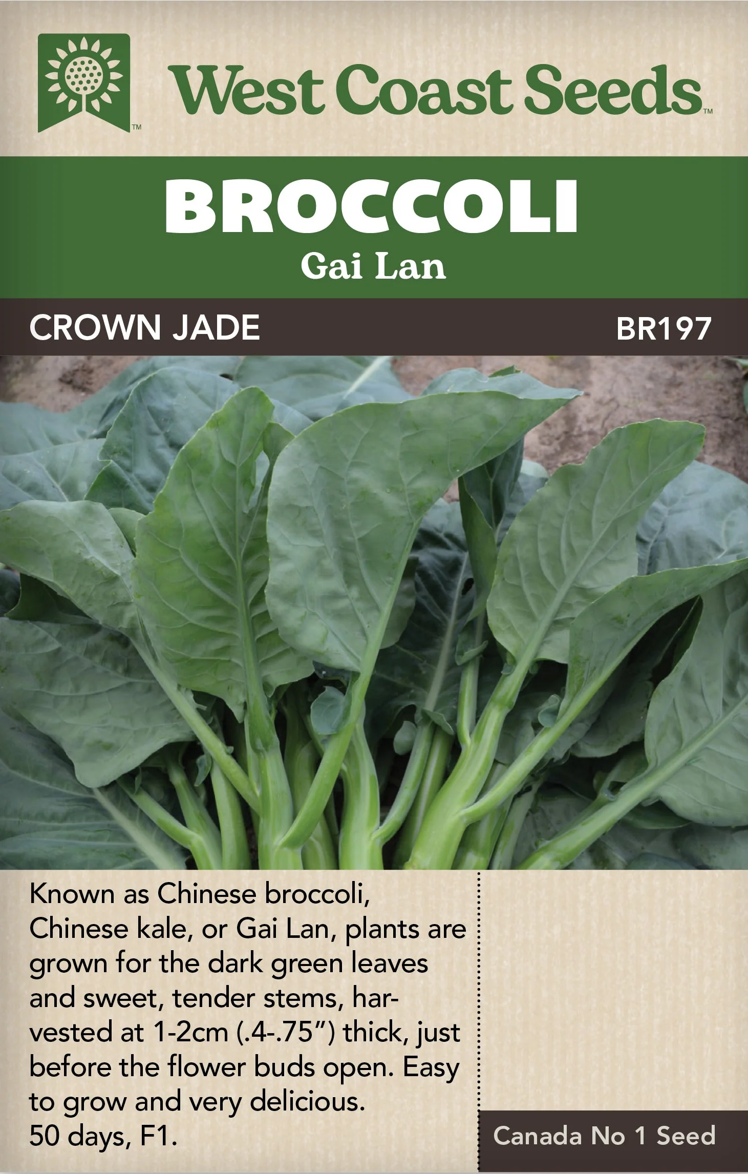 Broccoli Crown Jade - West Coast Seeds
