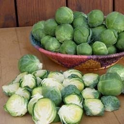 Brussels Sprouts Hestia - Renee's Garden - Image 5