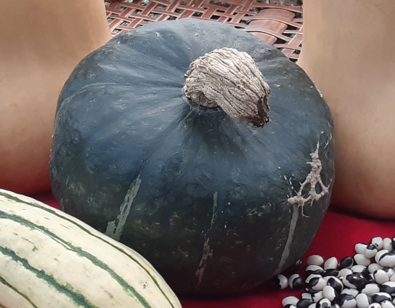 Burgess Buttercup - Saanich Organics