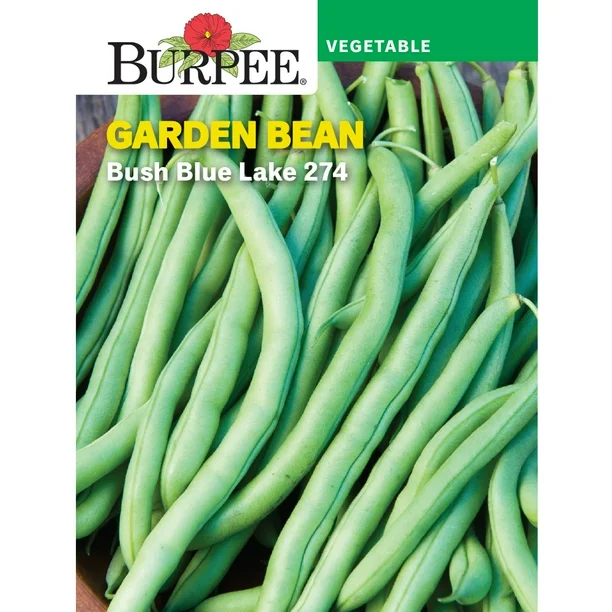 Bean Blue Lake 274 Bush - Burpee Seeds