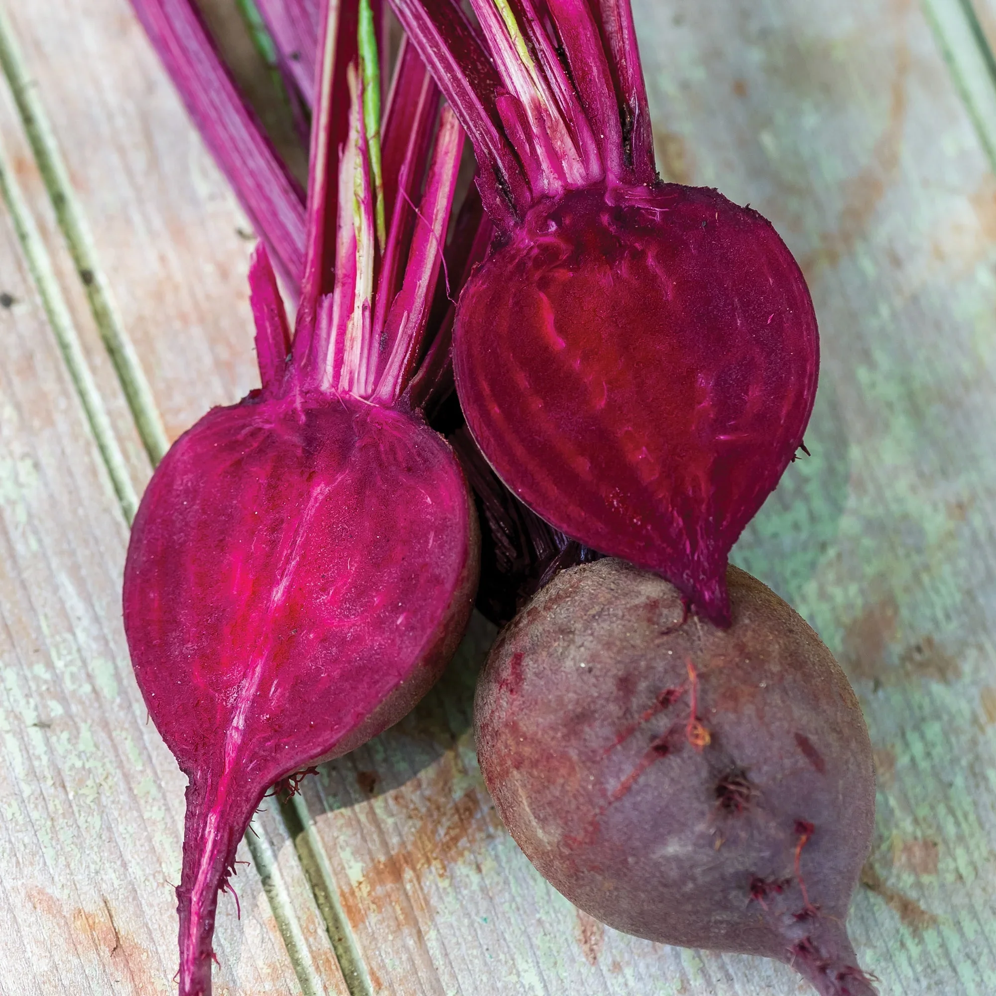 Organic Beet Detroit Dark Red - Burpee Seeds - Image 2