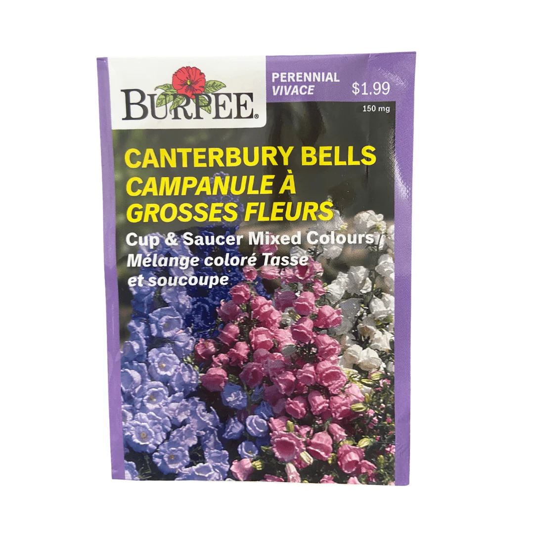 Canterbury Bells Cup-and-Saucer Mix - Burpee Seeds