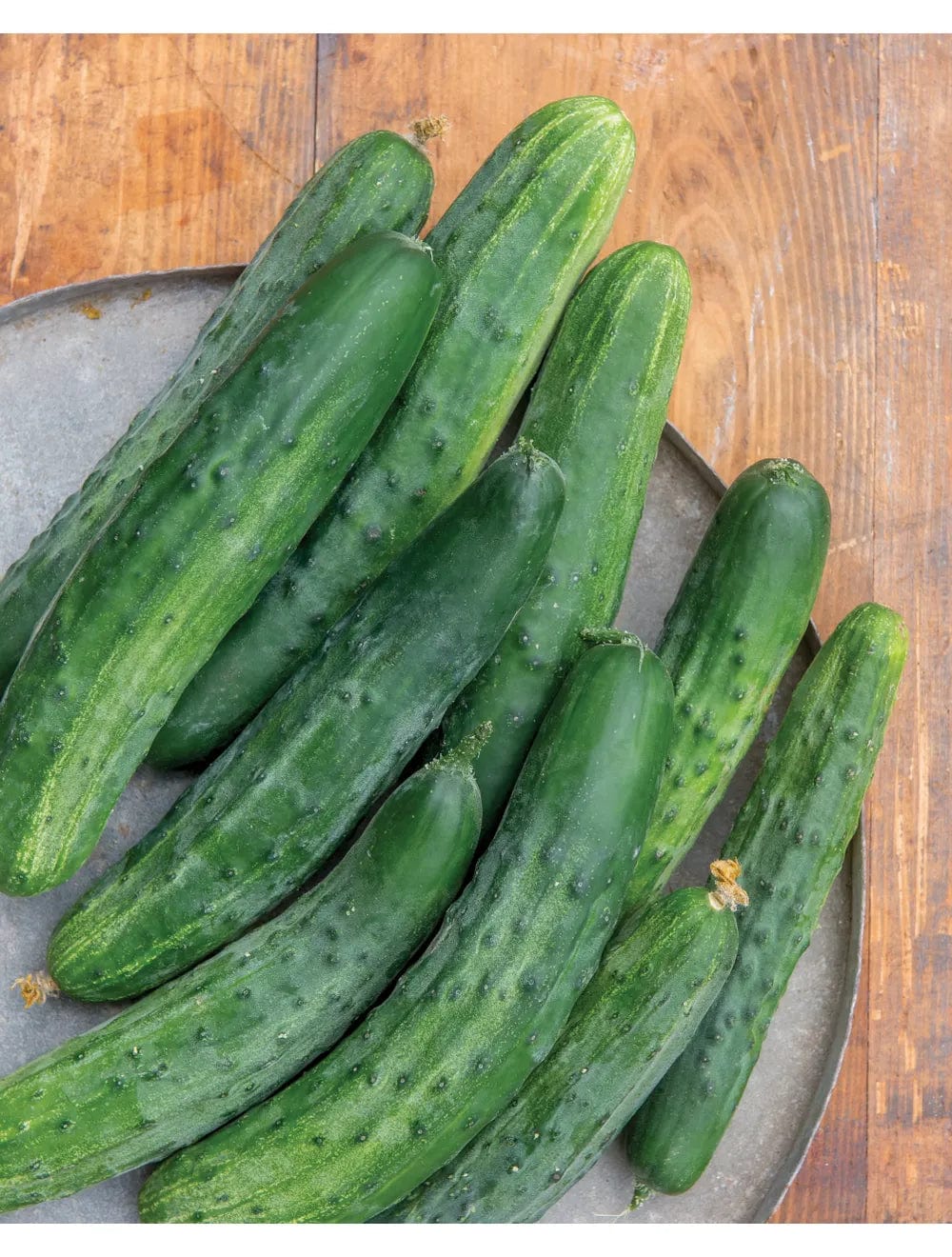 Cucumber Bush Champion - Burpee Seeds - Image 2