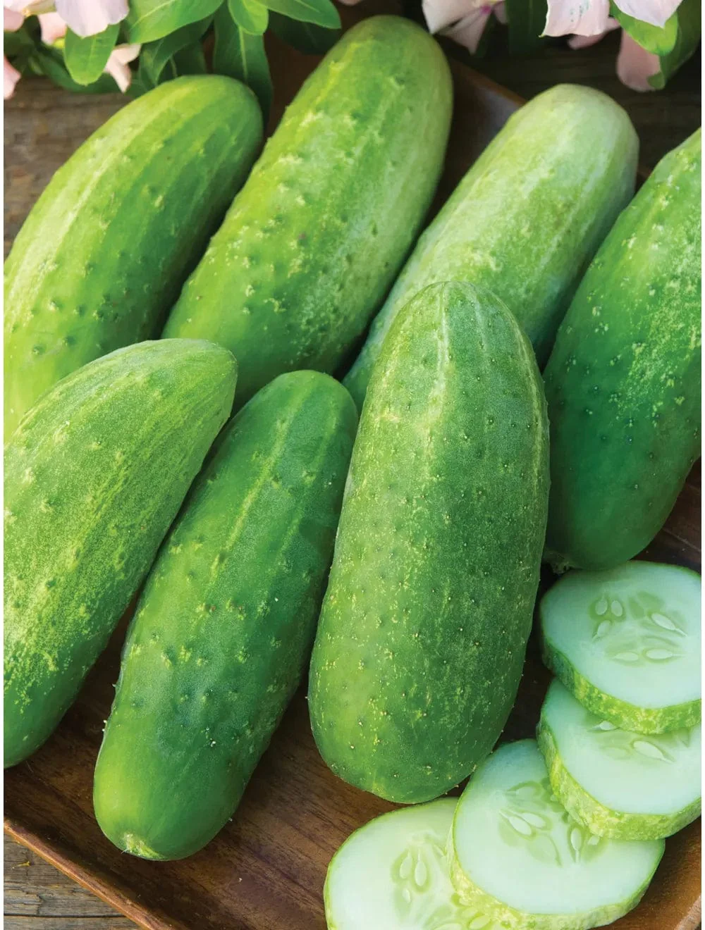 Cucumber Burpee Pickler - Burpee Seeds