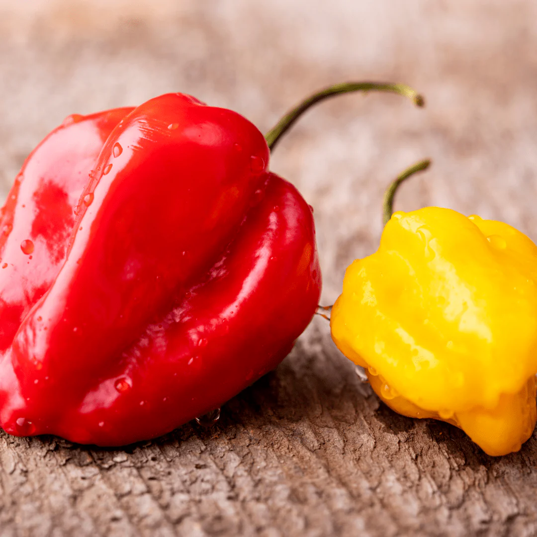 Pepper Habanero Blend - Burpee Seeds