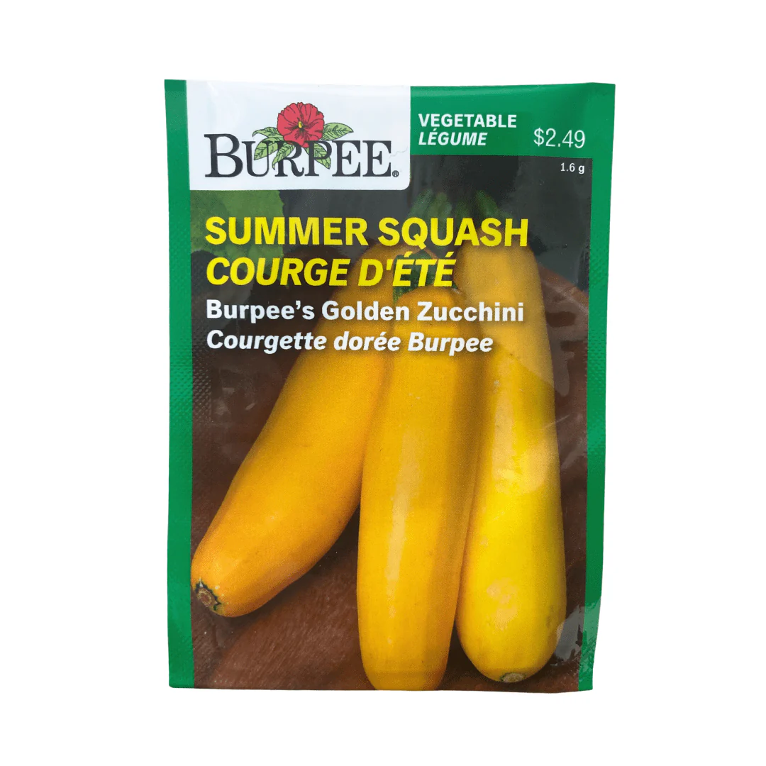Zucchini Burpee's Golden - Burpee Seeds