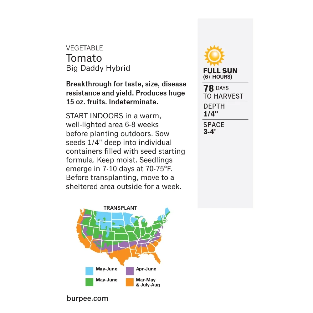 Tomato Big Daddy Hybrid - Burpee Seeds - Image 2
