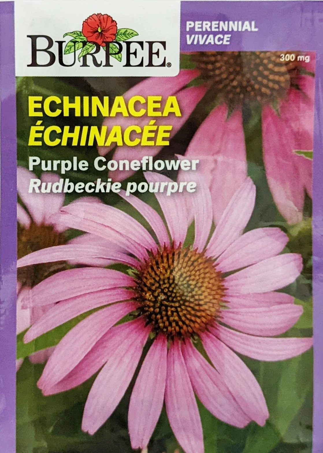 Echinacea Purple Coneflower - Burpee Seeds