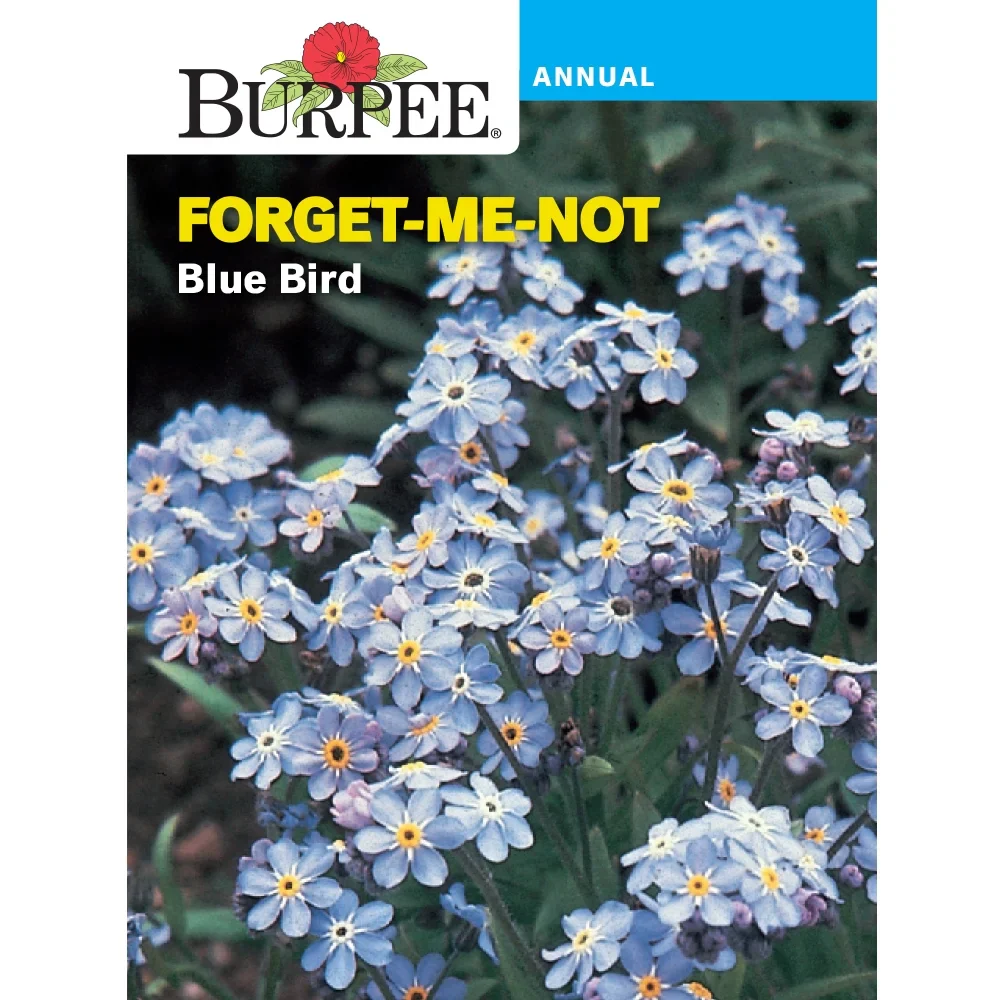 Forget-me-Not Blue Bird - Burpee Seeds