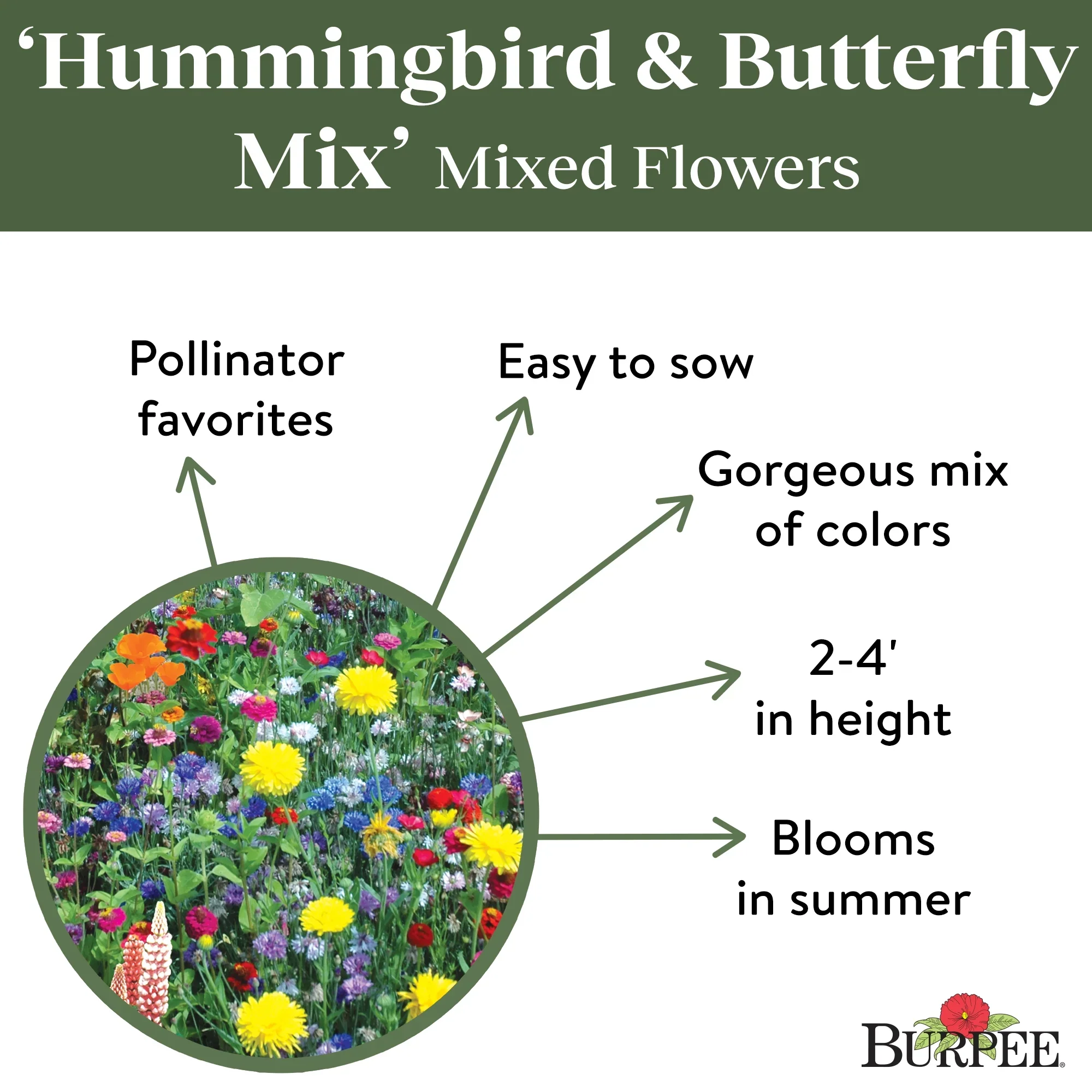 Mixed Flowers Hummingbird and Butterfly Mix - Burpee Seeds - Image 2