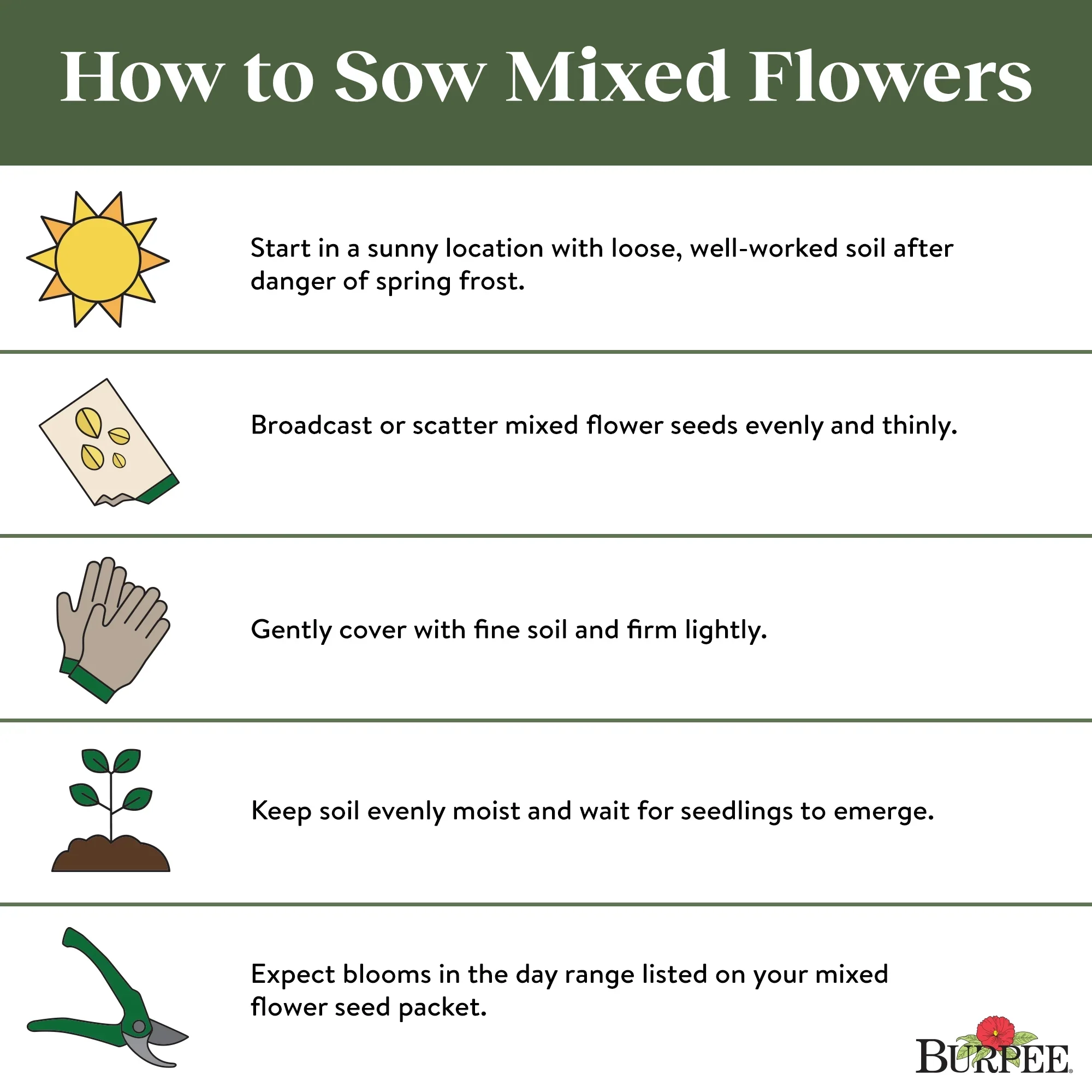 Mixed Flowers Hummingbird and Butterfly Mix - Burpee Seeds - Image 3