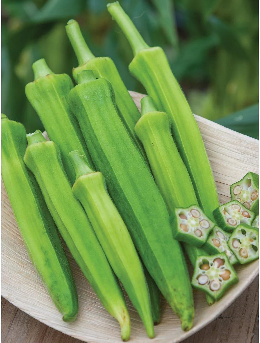 Okra Baby Bubba Hybrid - Burpee Seeds - Image 2