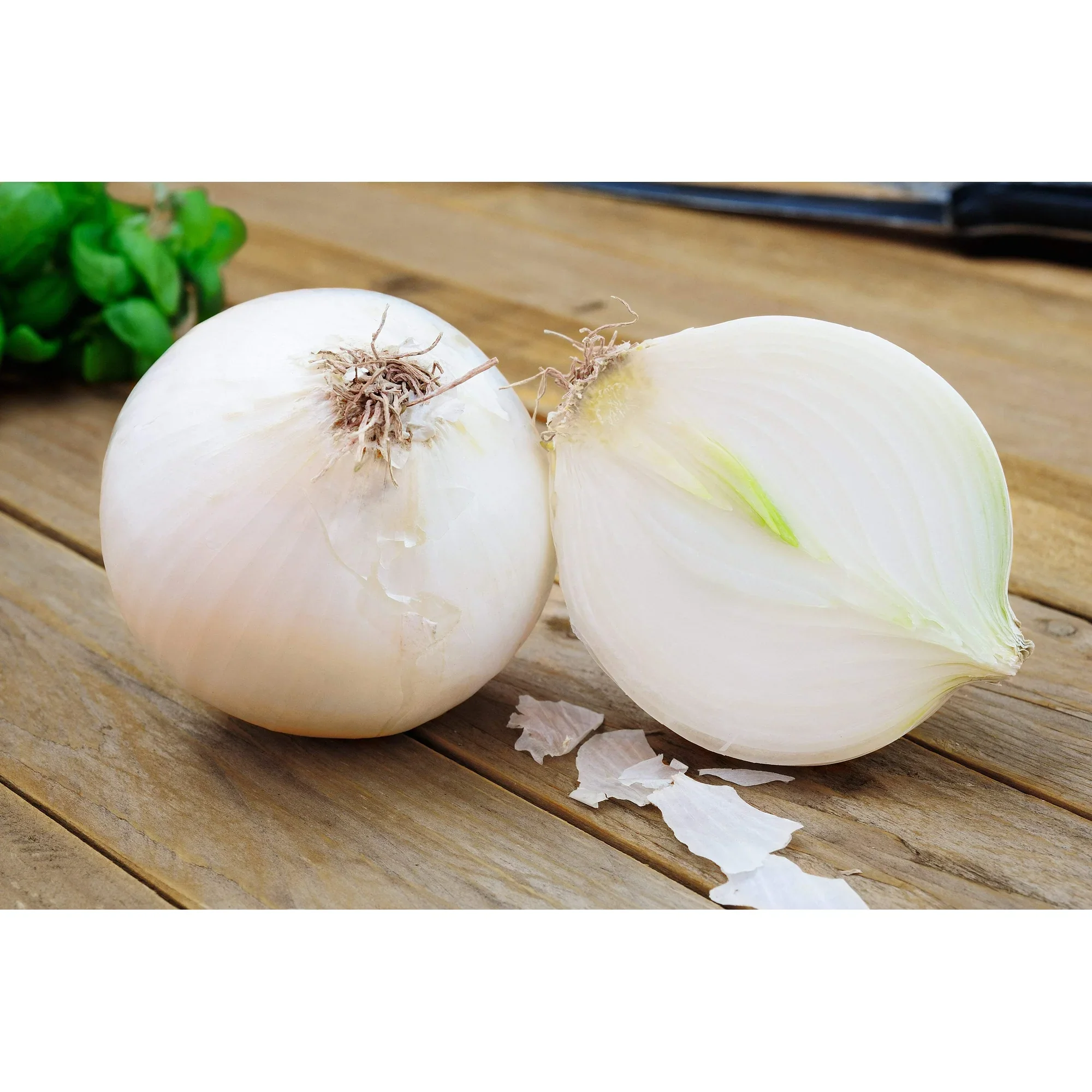 Onion Sweet White Spanish - Burpee Seeds