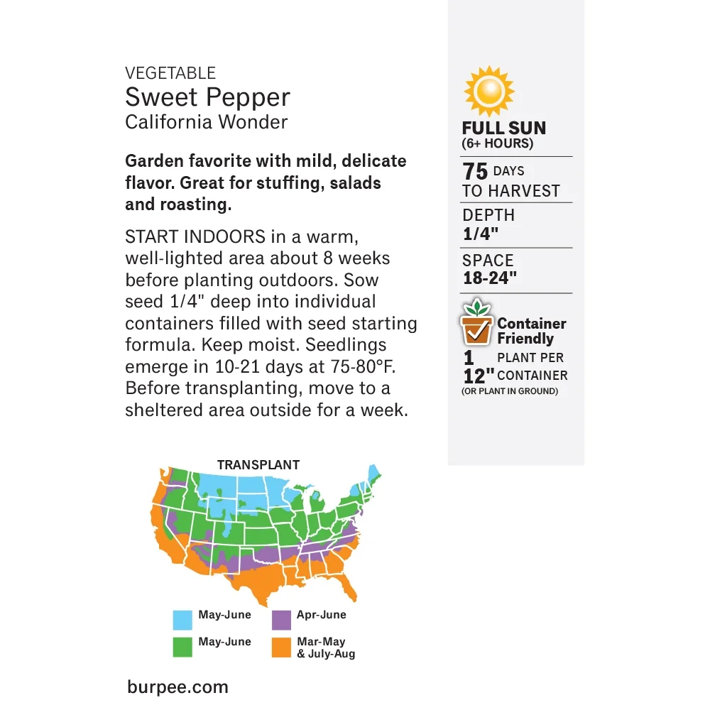 Pepper California Wonder - Burpee Seeds - Image 2