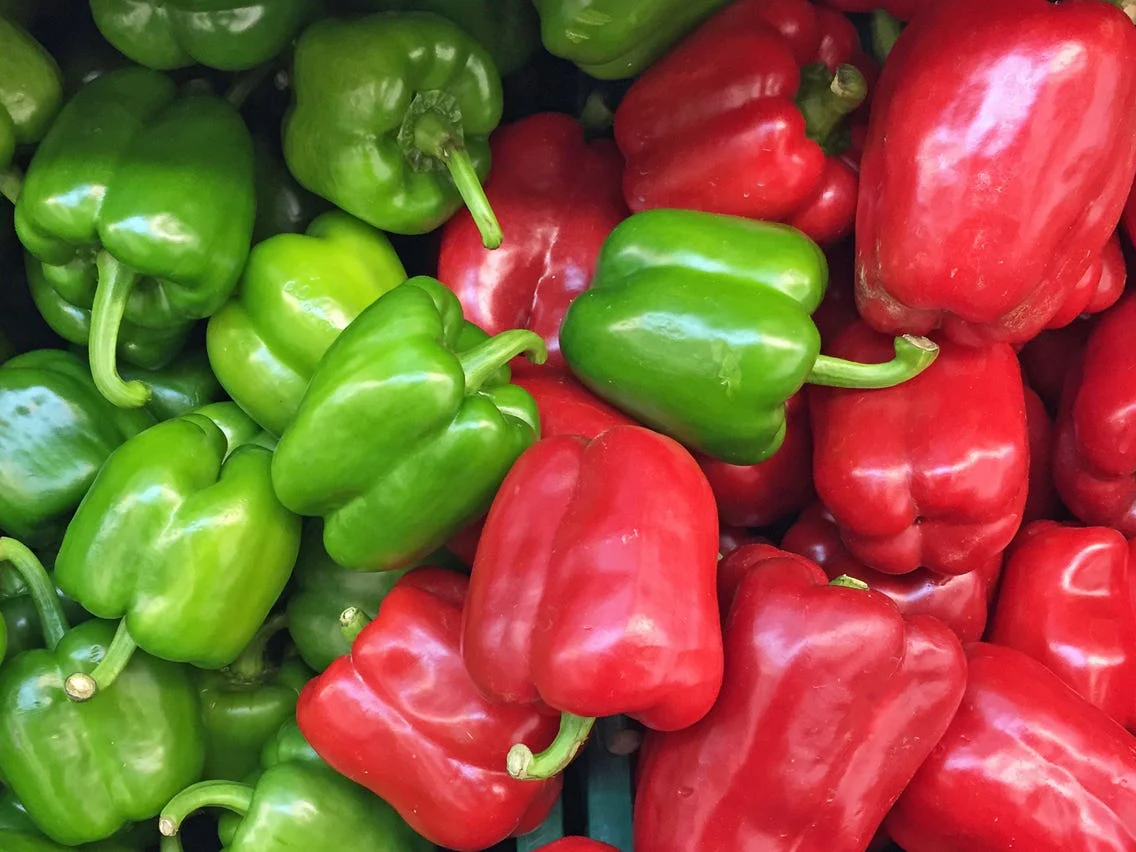 Pepper California Wonder - Burpee Seeds - Image 3