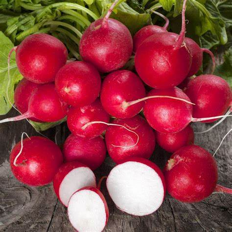 Cherry Belle Radish - Burpee Seeds - Image 2