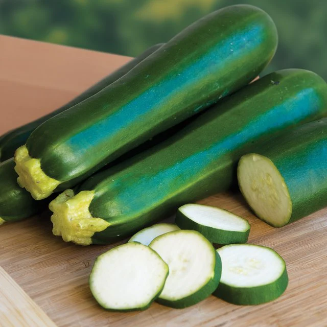 Organic Zucchini Dark Green - Burpee Seeds - Image 3