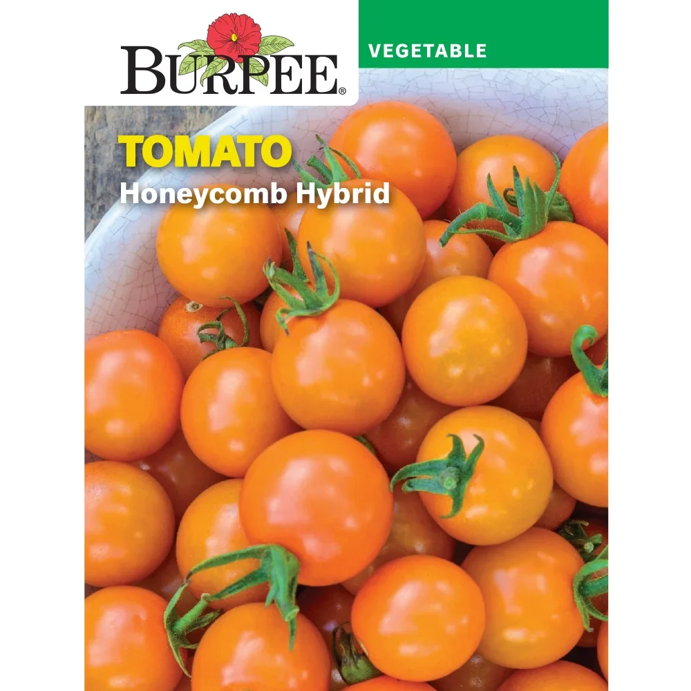 Tomato Honeycomb - Burpee Seeds