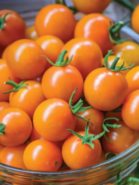 Tomato Honeycomb - Burpee Seeds - Image 2