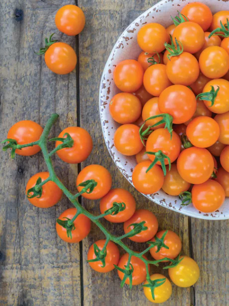 Tomato Honeycomb - Burpee Seeds - Image 4