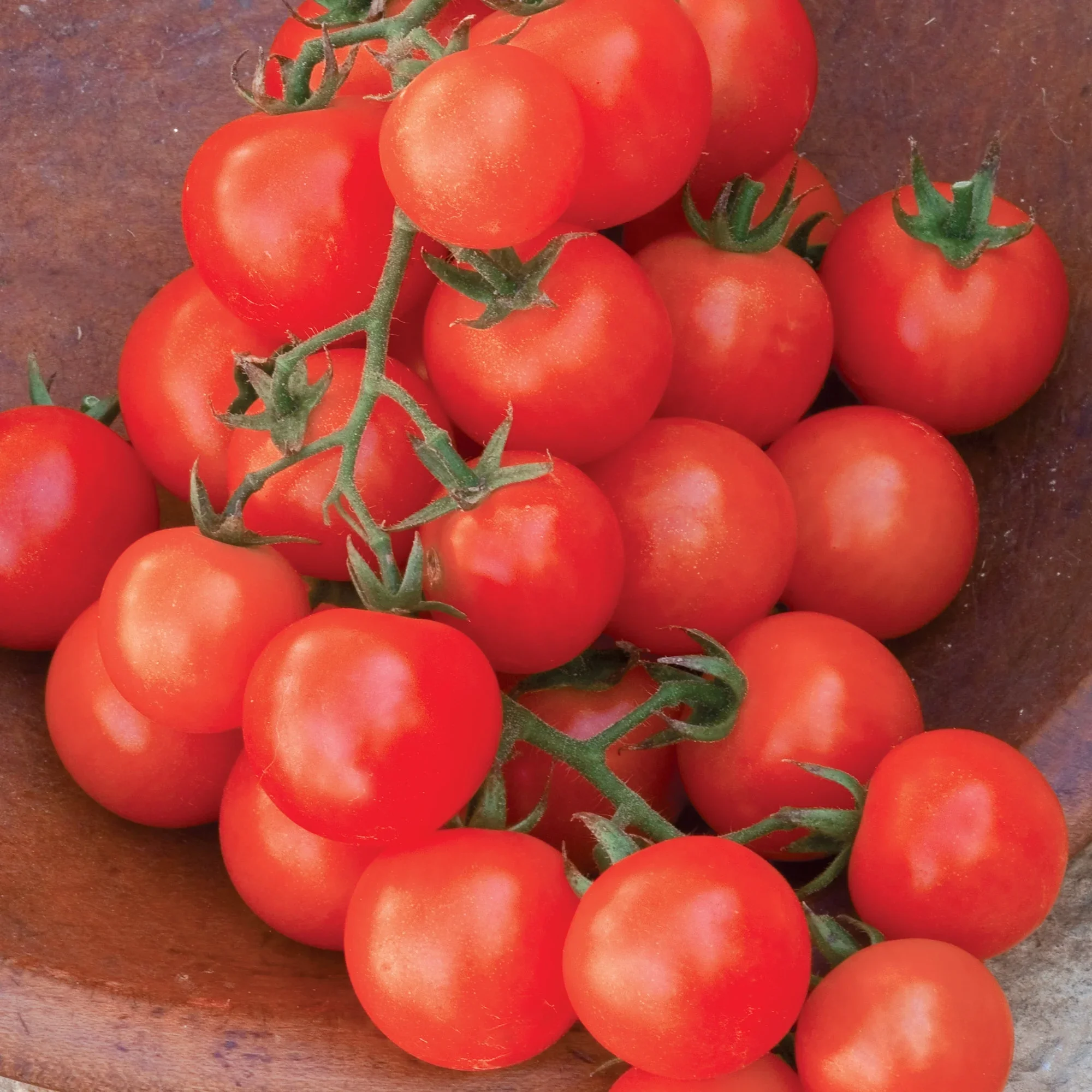 Organic Tomato Sweetie - Burpee Seeds - Image 2