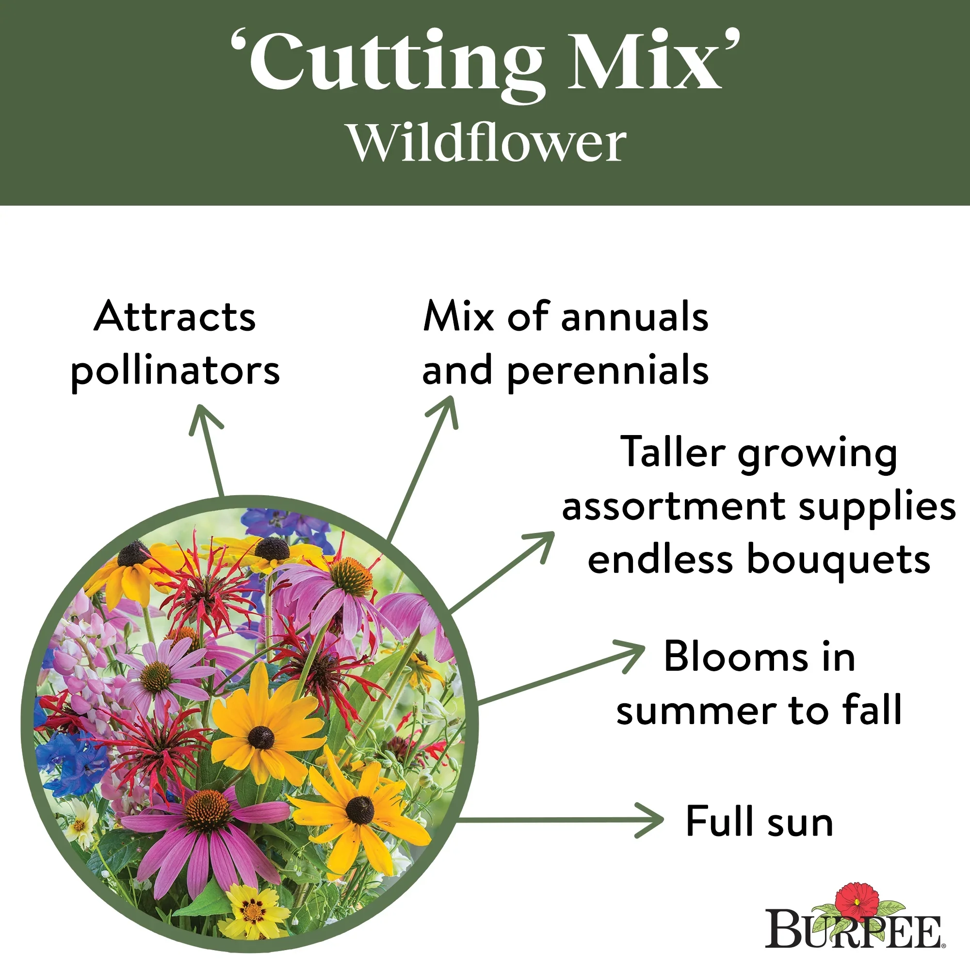 Wildflower Cutting Mix - Burpee Seeds - Image 2