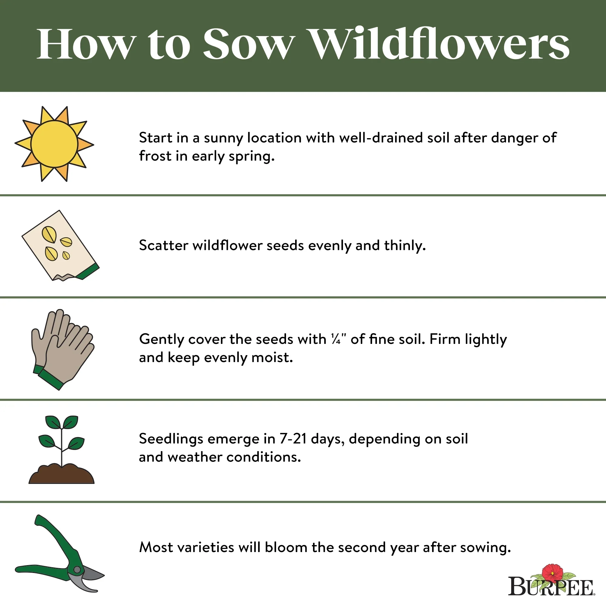 Wildflower Cutting Mix - Burpee Seeds - Image 3