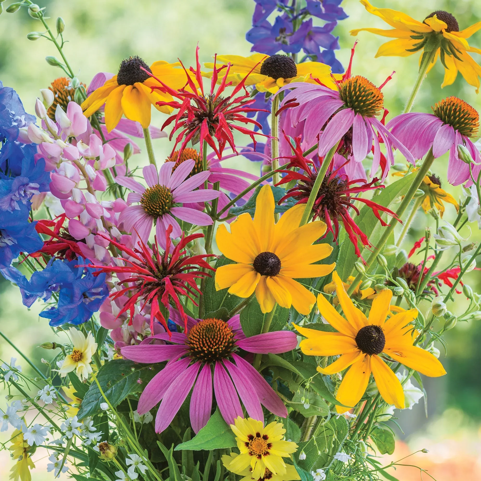 Wildflower Cutting Mix - Burpee Seeds - Image 4