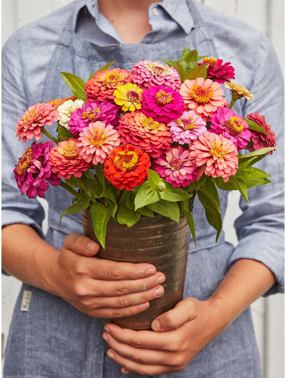 Zinnia Cut & Come Again - Burpee Seeds - Image 3
