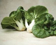Cabbage Chinese Toy Choi - Ontario Seed Company
